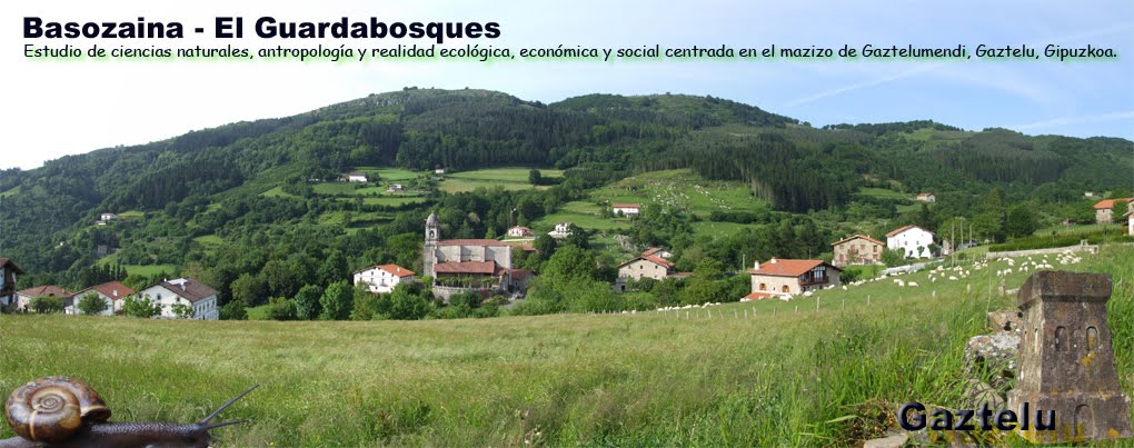 Basozaina  - El guardabosques