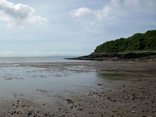 Jackson's Bay