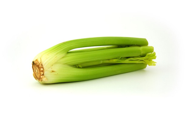 Can Dogs Eat Celery? Is Celery Safe For Dogs?