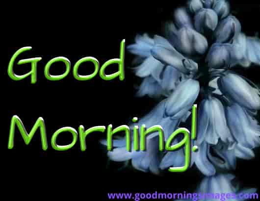 Good Morning Shayari Images For Love Good Morning Shayari Images For Love