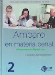 AMPARO PENAL