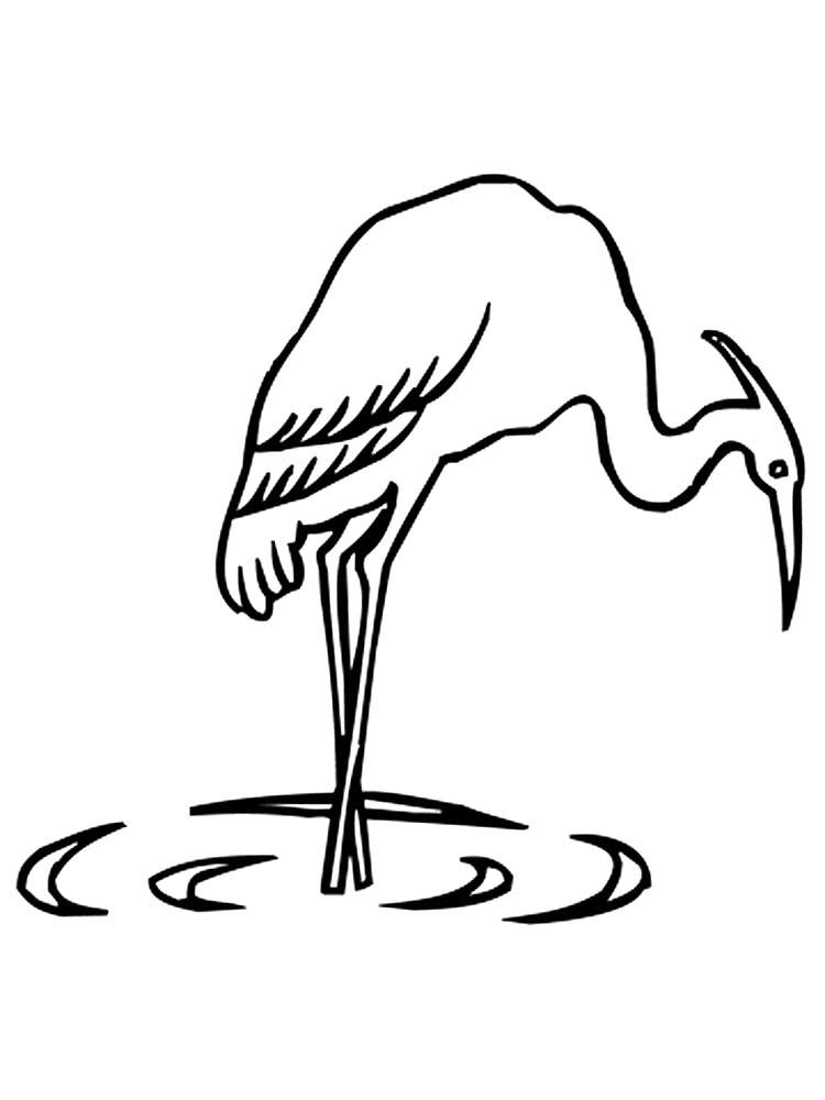 30++ Gambar burung bangau hitam terupdate