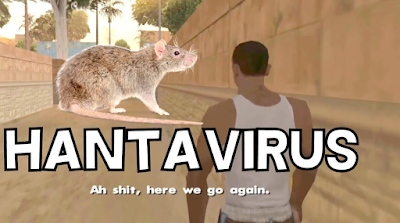 What is Hantavirus and how does it spread