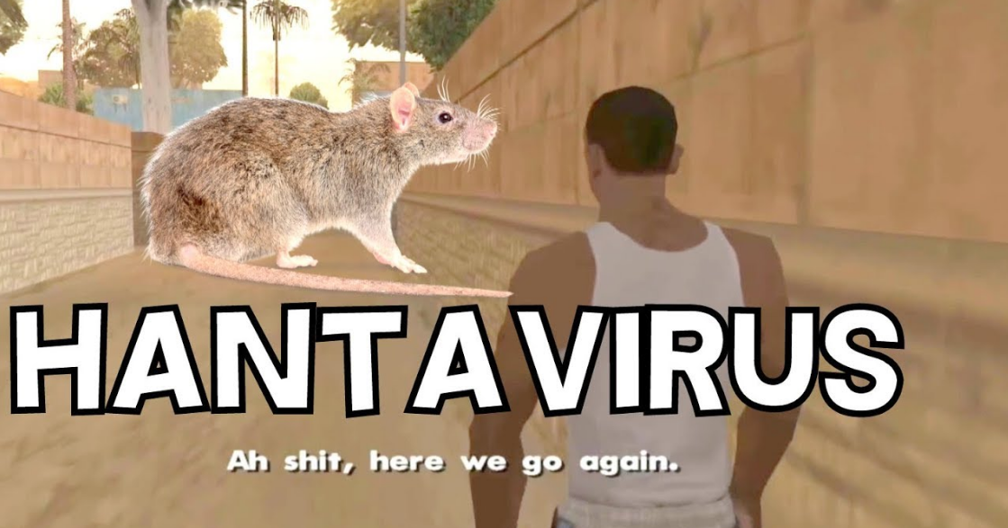 Hantavirus Information and How Does it Spread