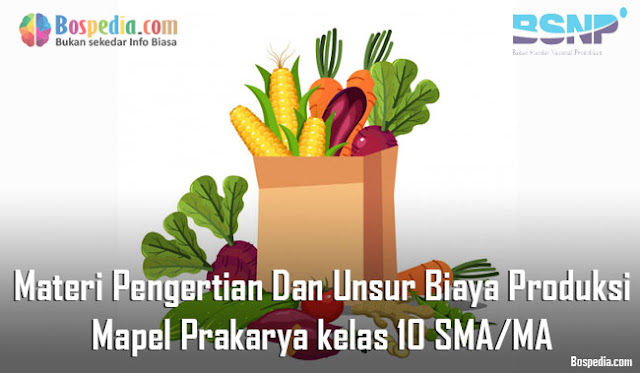 Materi Pengertian Dan Unsur Biaya Produksi Mapel Prakarya kelas 10 SMA/MA