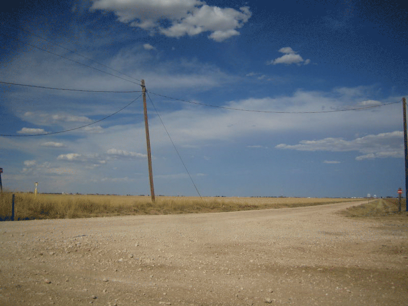 tumbleweed004gi3.jpg