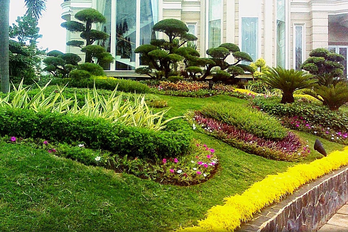 Inspirasi Desain Taman Atap dan Cara Membuatnya