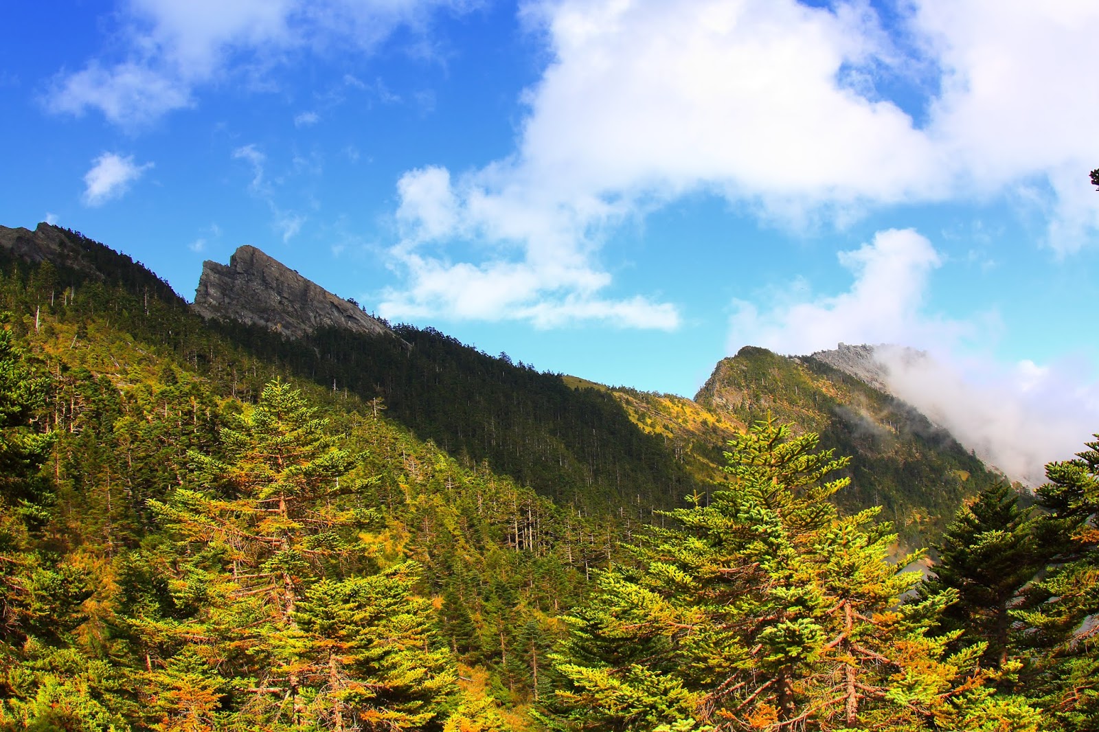 由南湖大山東南峰，準備下降至和平南溪叉路口