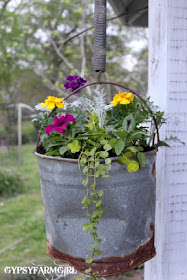 galvanized bucket upcycled into hanging flower basket