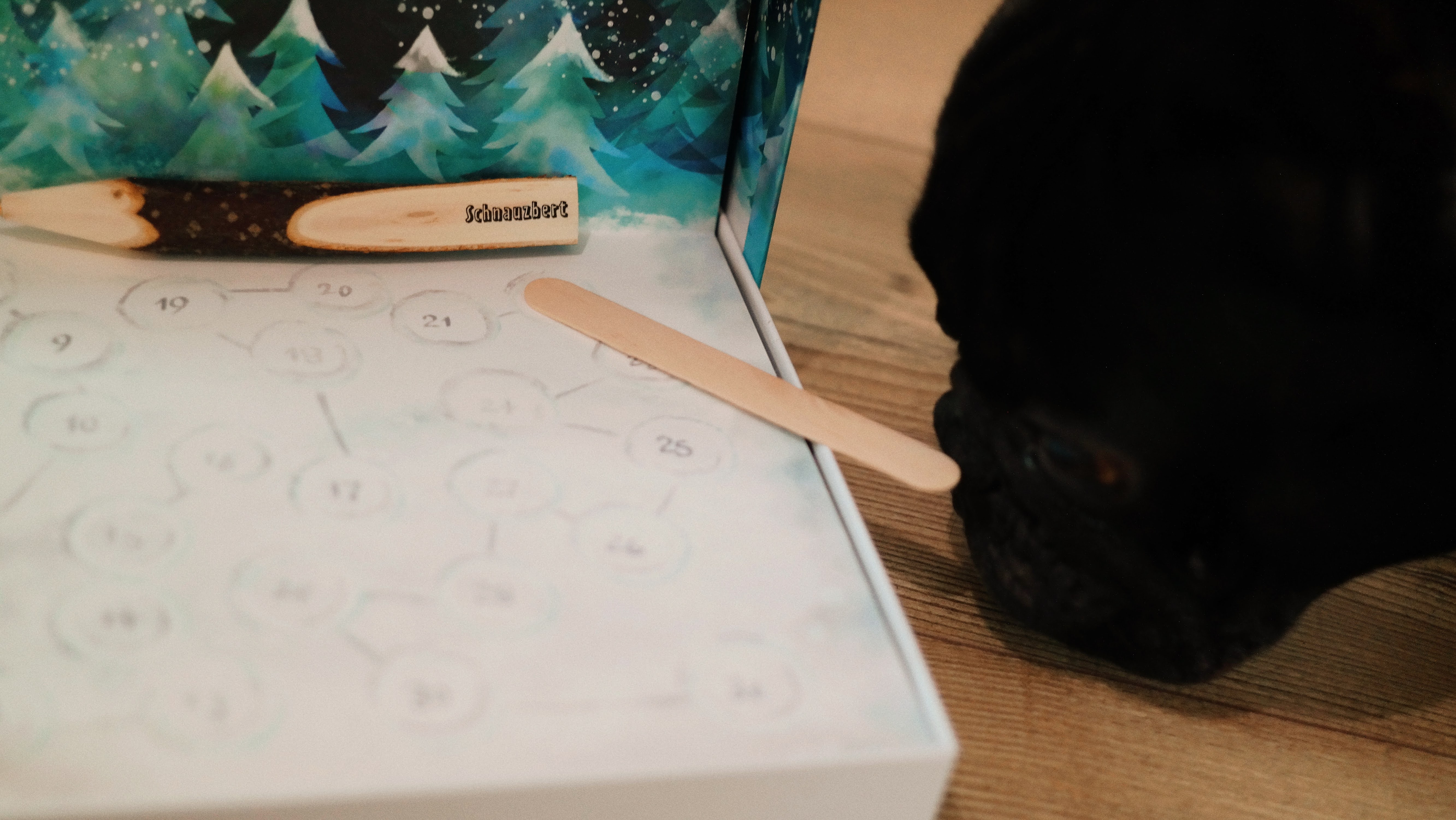 Bentley bloggt | Heute über einen Adventskalender für Menschen und Hunde - Schnauzberts Winterreise