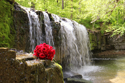 red roses waterfall