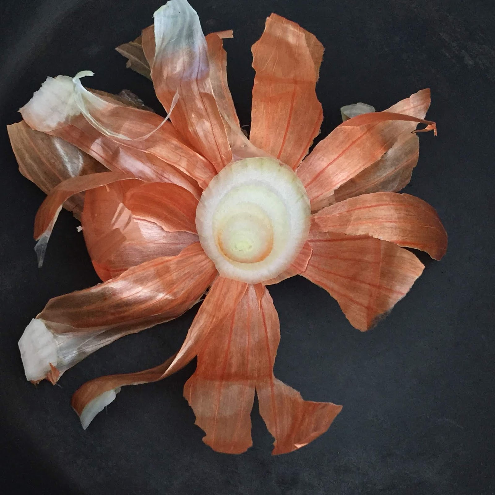 How To Use Onion Peels in your Garden?