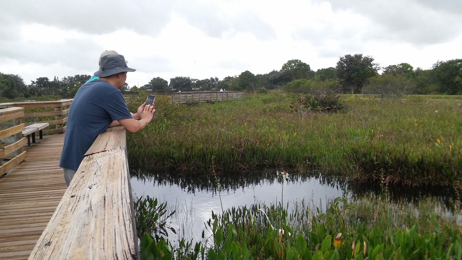 Mai Thai Wanderings Best nature park in Florida the Wakodahatchee