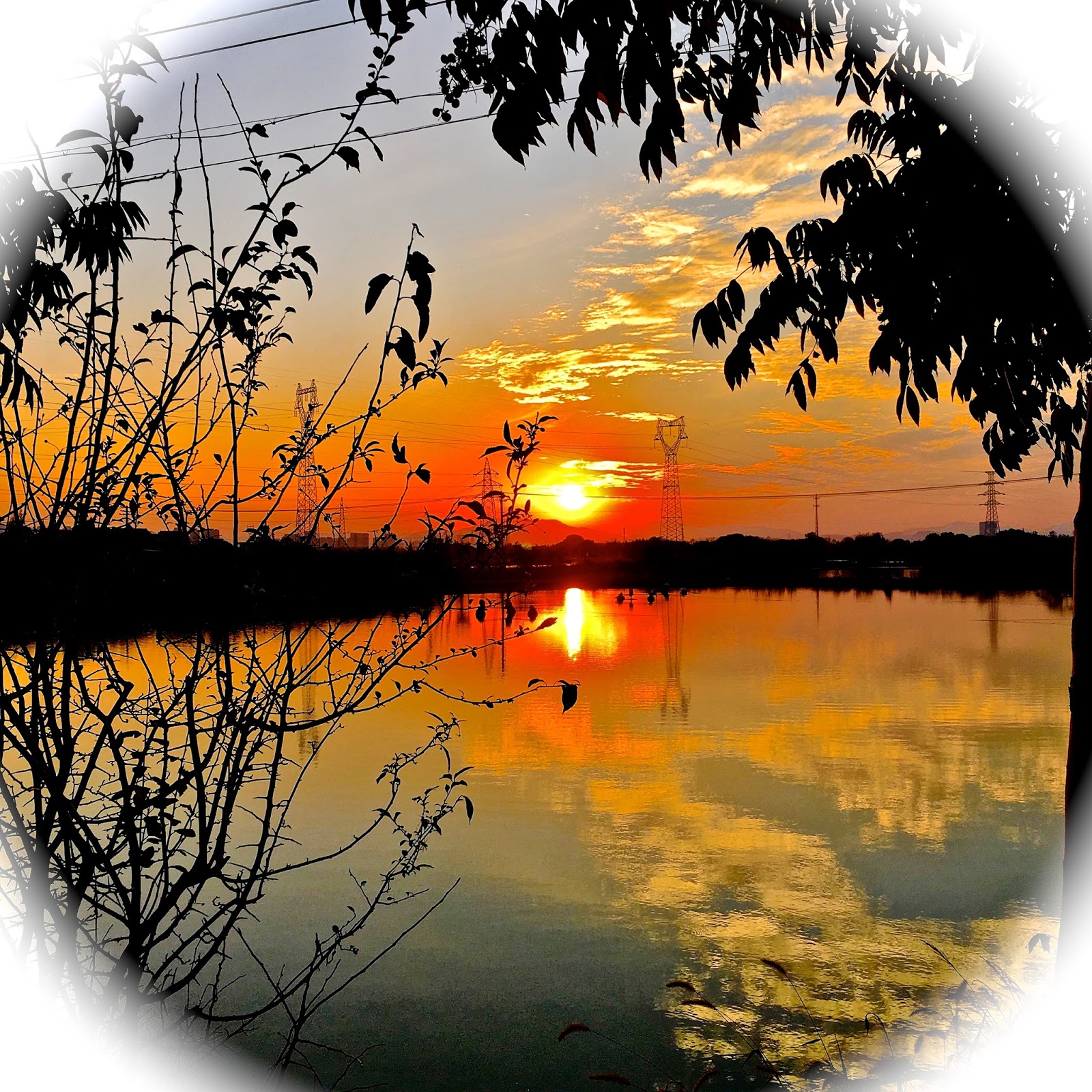 Boylston Chess Club log BCC QUADS A QUALITY CHESS EXPERIENCE // 5