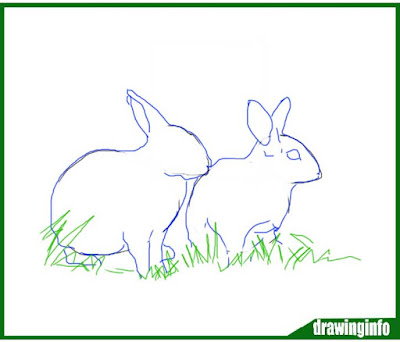 rabbit-drawing-with-color