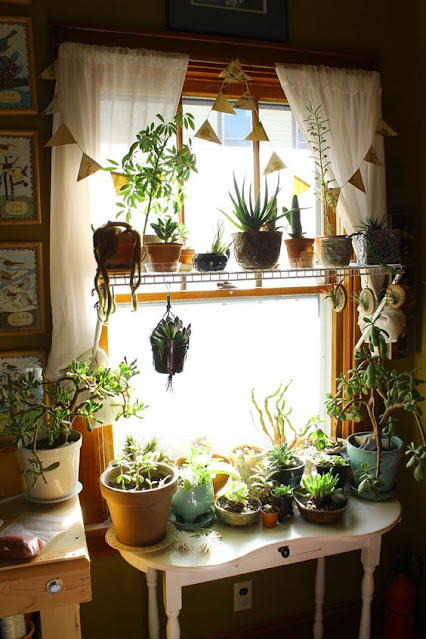 Janela de um ambiente interno decorada com plantas