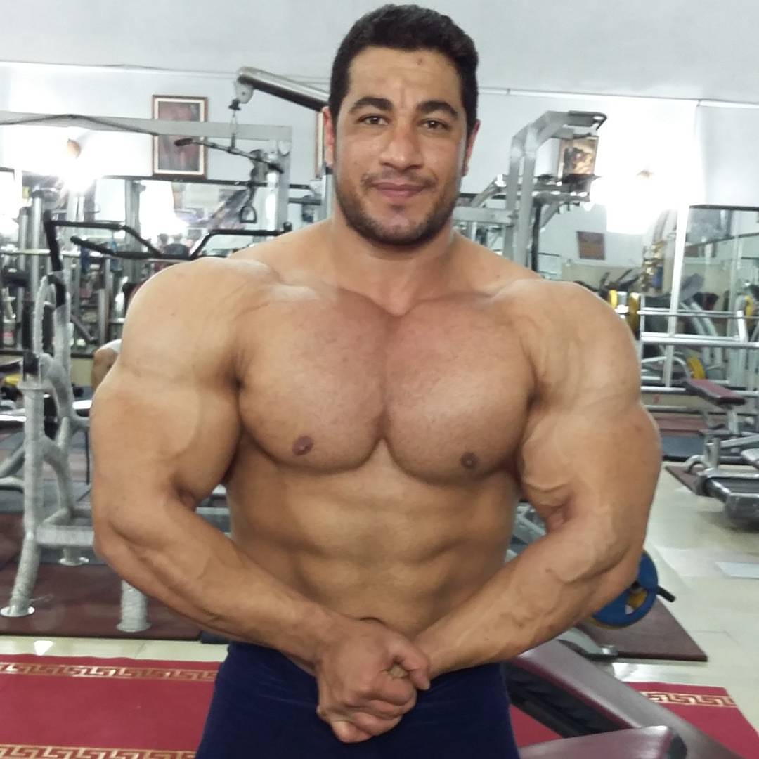 Muscle Lover Massive Persian Bodybuilder Ma