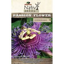 Passion Flower: Inspiration for Purple