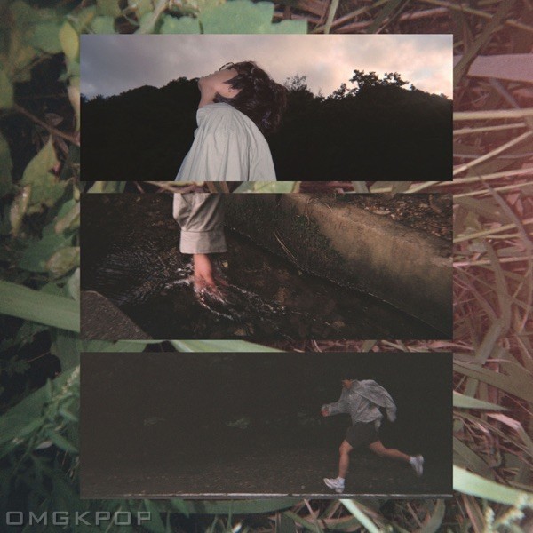 FRED. – BINGRR (feat. LOTION FNK) – Single