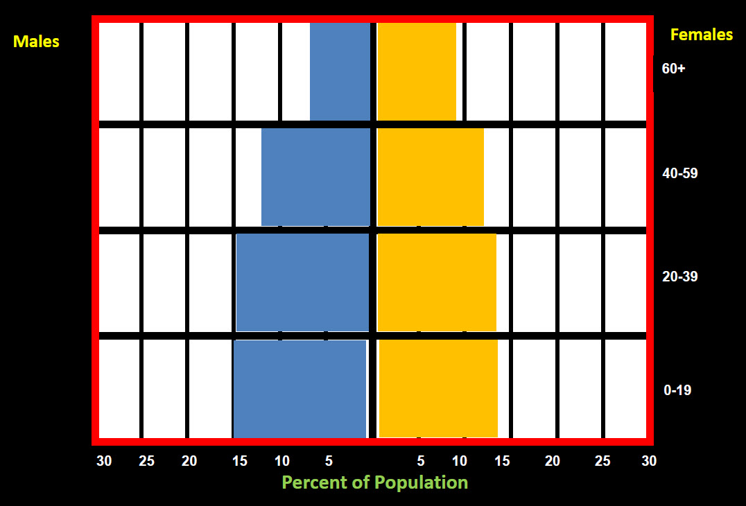 Rapid growth population pyramid image