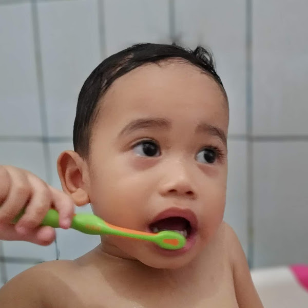 Cara Mengajarkan Sikat Gigi Pada Anak