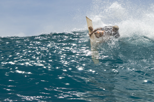 surfin estate blog surf culture surfin lifestyle skateboard surfboard dane peterson photography alaia tom wegener arthur nelli vincent lemanceau