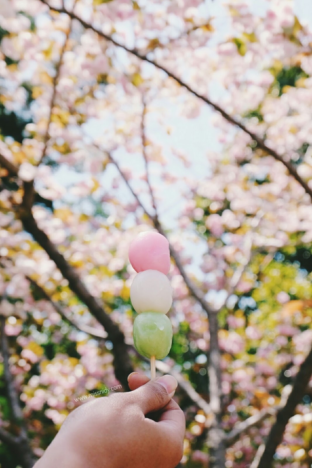 Japan Travel Diaries – Jatuh Cinta pada Kyoto (Day 4)