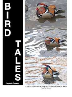 PREVIEW AND BUY BIRD TALES, THE ePUB VERSION