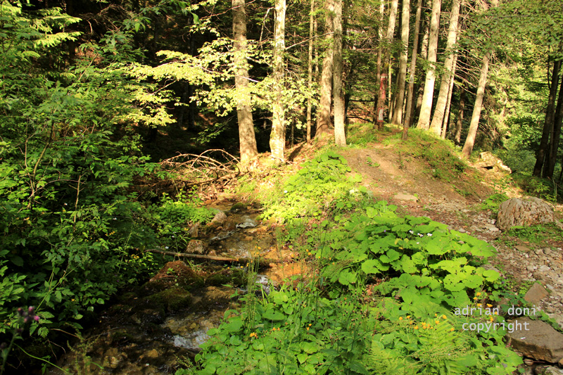 Drumetii Moldave Izvorul Muntelui Jgheabul cu Hotar Cabana Dochia