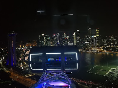 dengan harga SD33, kami pun menikmatilah keindahan malam Singapura dari atas Singapore Flyer