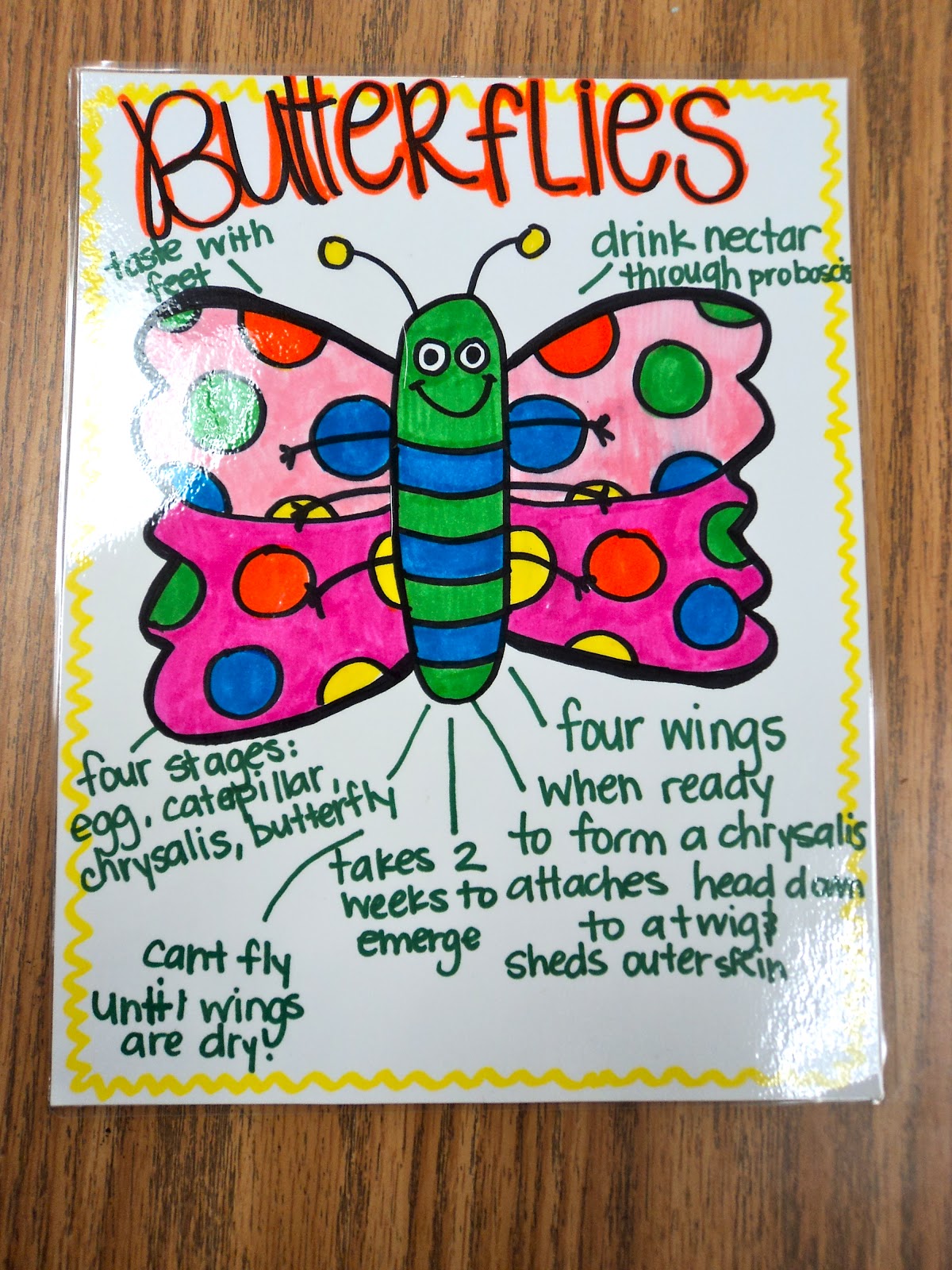 First Grade Fresh: ABC/ Word Study Task Cards and Anchor Charts