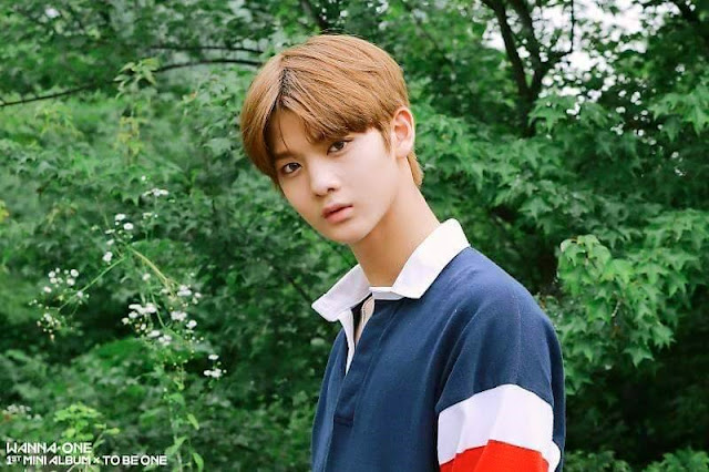 Wanna One 임영민