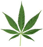 como dejar la marihuana Plantar Marihuana. Como plantar Marihuana. como dejar la marihuana. los adolescentes y la marihuana. como hacer para que mi hijo deje de drogarse