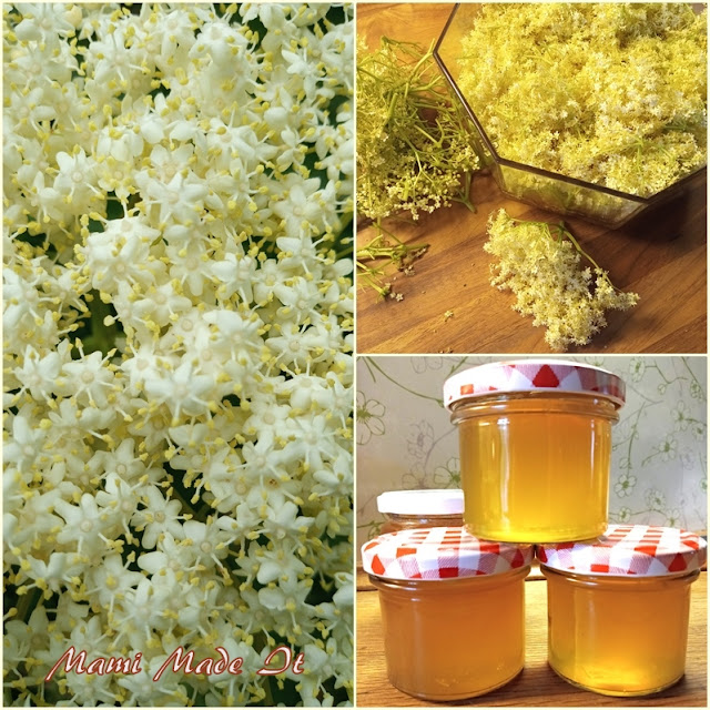 Holunderblütengelee - Elderflower Jelly