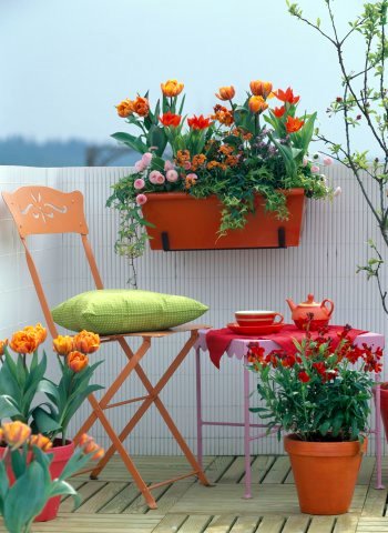Garden Ideas For Small Apartment Patio