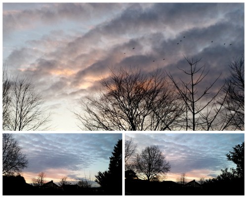 Nunu S Garn Und Stofflabor April 2017