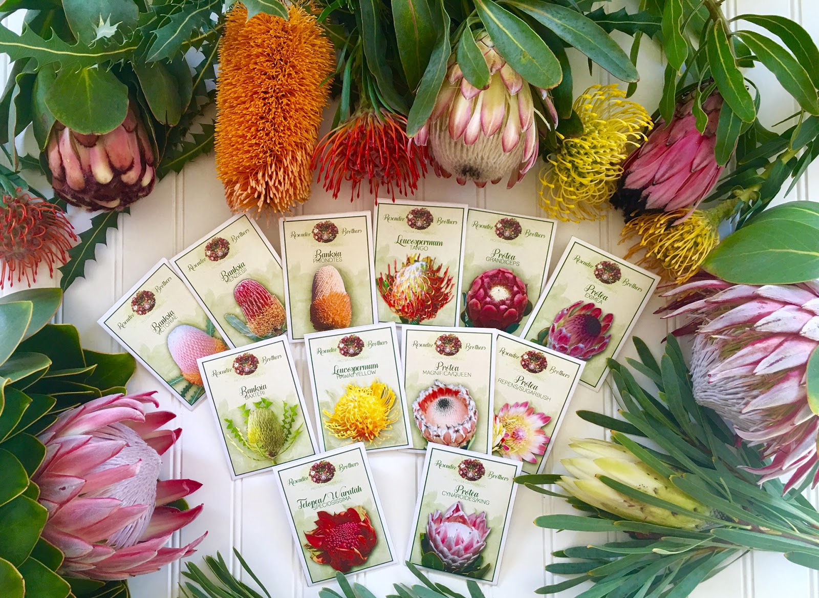 A Passion for Flowers