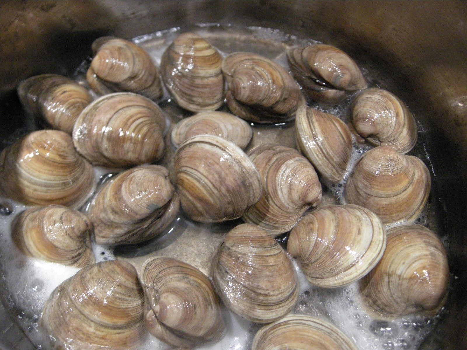 Kitchens Are Monkey Business: Time For Clams.