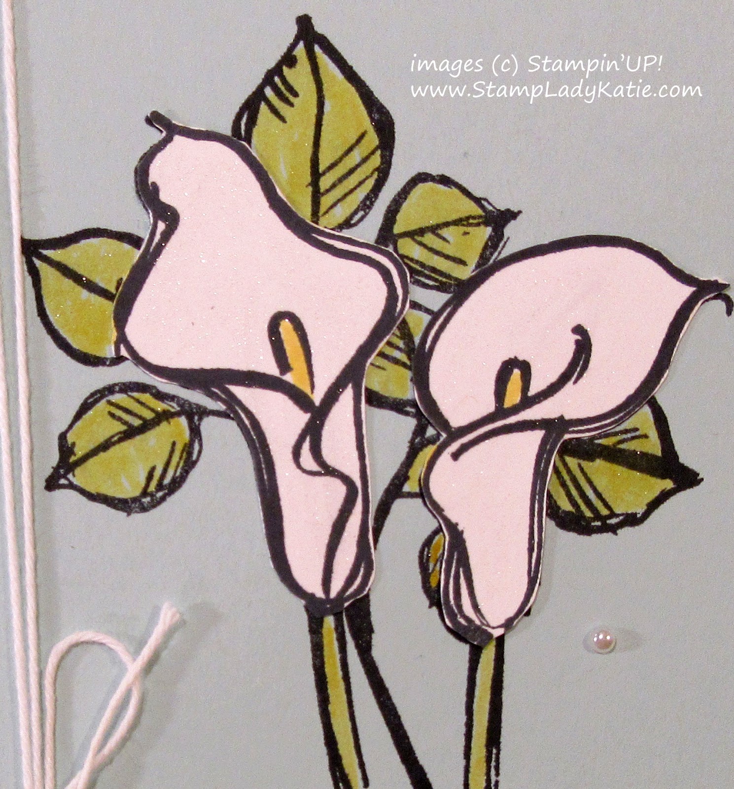 Amm Blog Drawing Inspiration From Calla Lilies The Creative Process