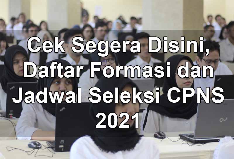 Cek Segera Disini, Daftar Formasi dan Jadwal Seleksi CPNS 2021 