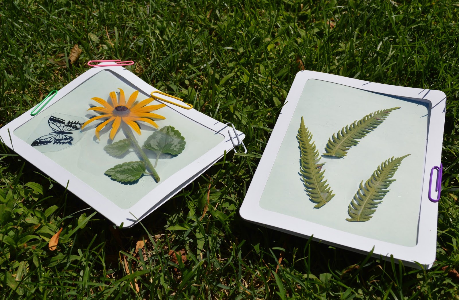 mothering-with-mindfulness-solar-printing