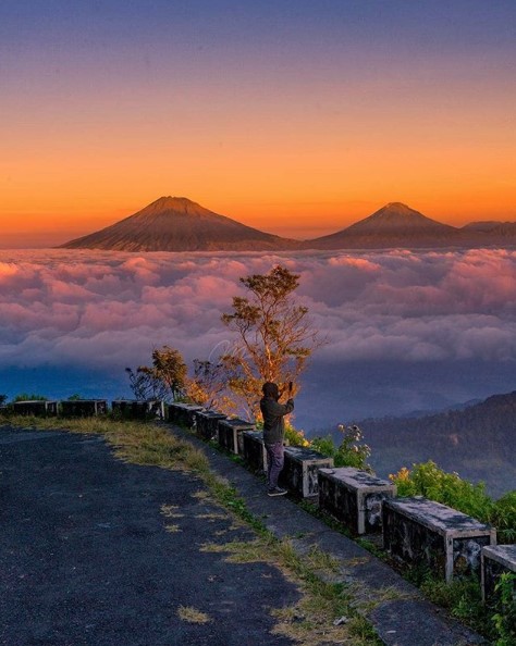 Enjoy the Beauty of Mount Telomoyo, Central Java
