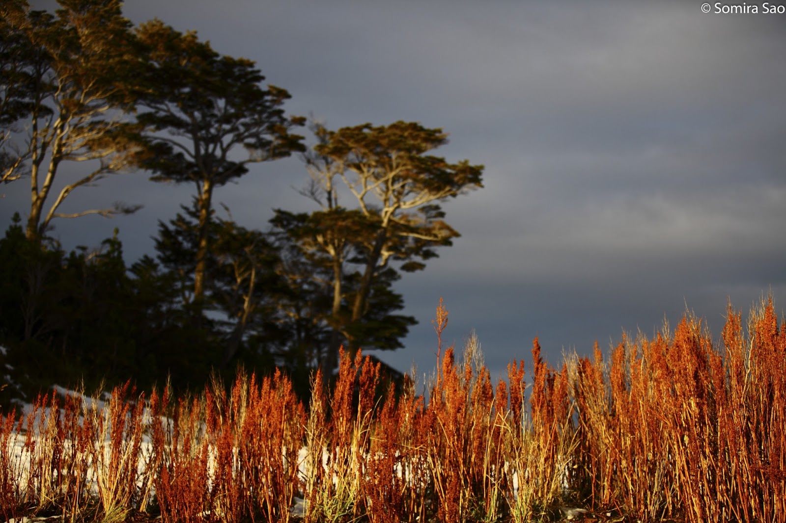 Anasazi Racing puerto toro in may