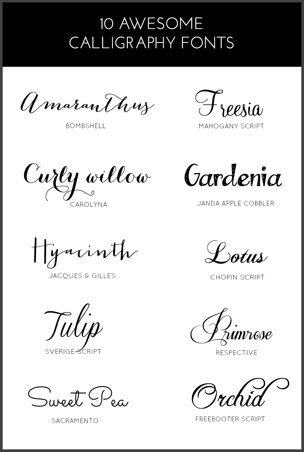 10 AWESOME CALLIGRAPHY FONTS | PINKPOT