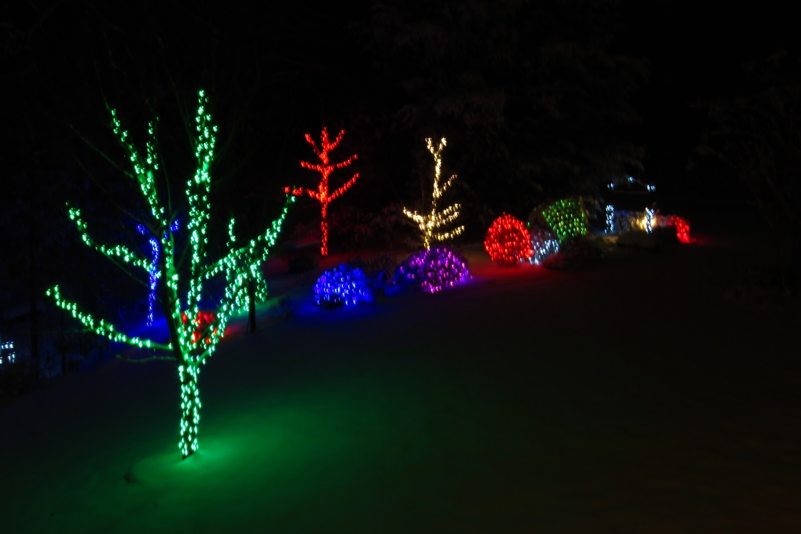 The Chronicles of Carson: Kent's Christmas Festival of Light with Snow!