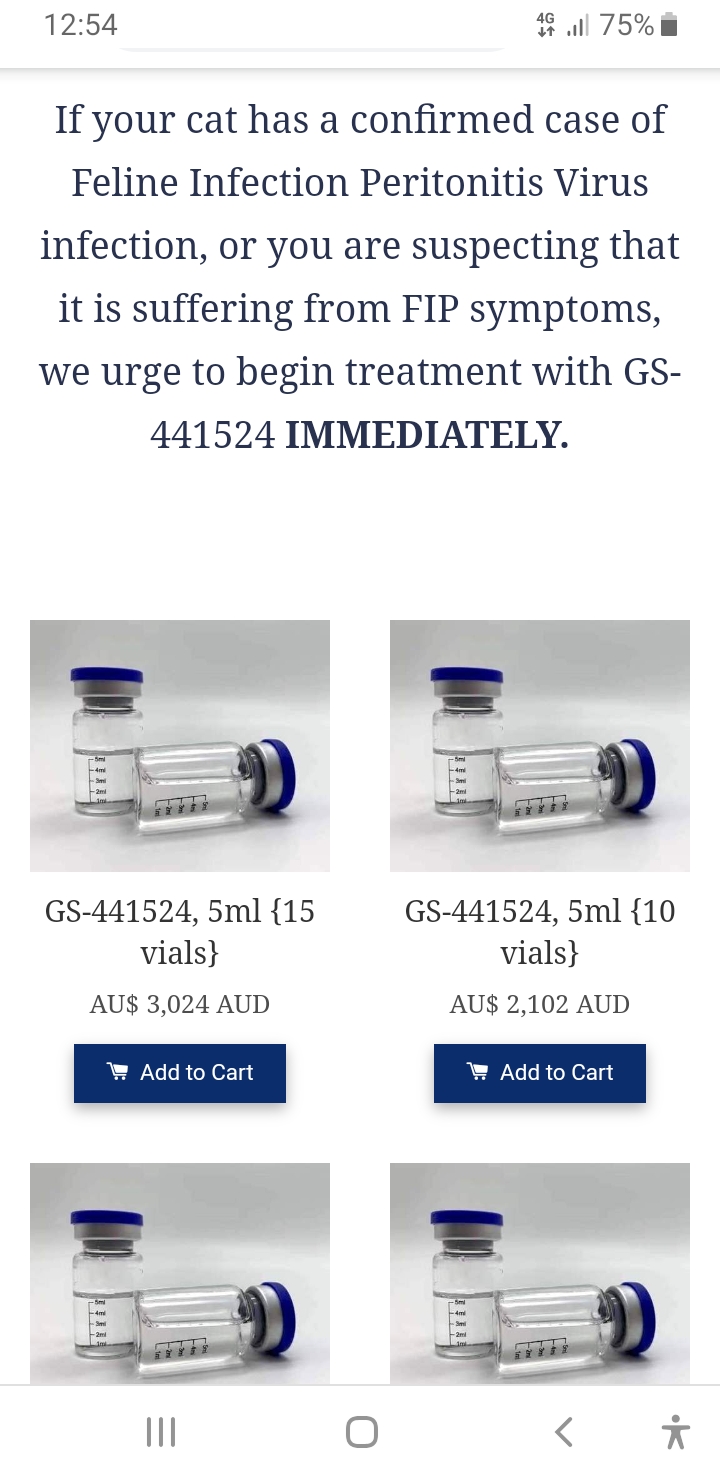 One Cat Life Treatment Of Fip