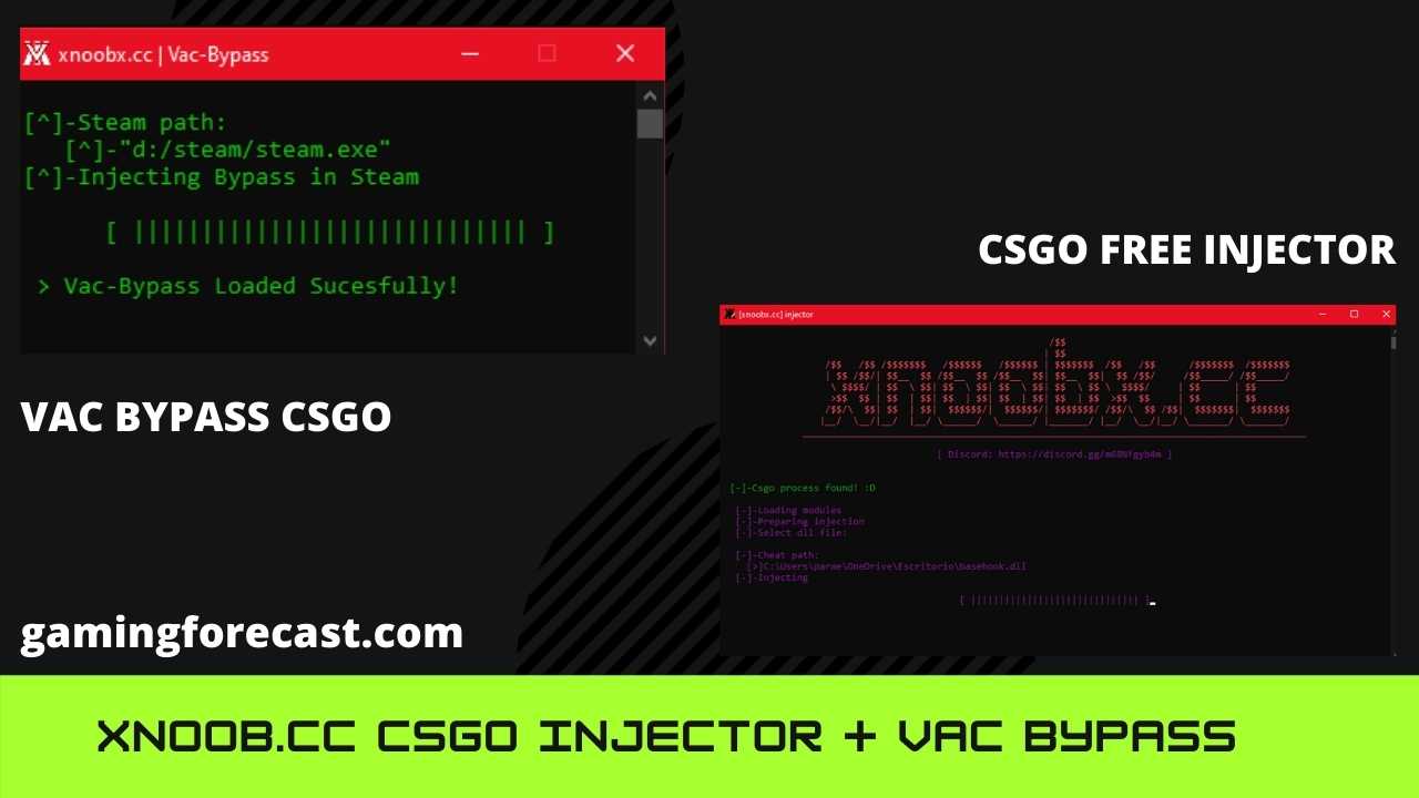 CSGO Vac Bypass + CSGO Injector Latest 2021 (xnoob.cc) Gaming