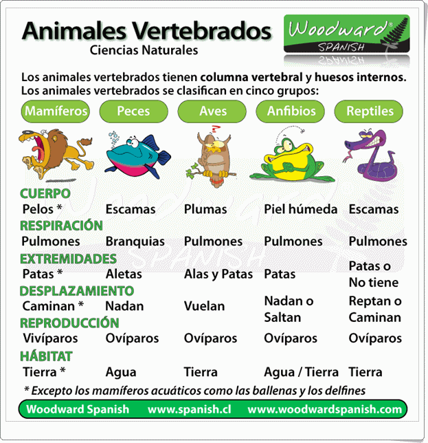 Temario Apuntes Marea Verde - animales vertebrados imagenes para imprimir