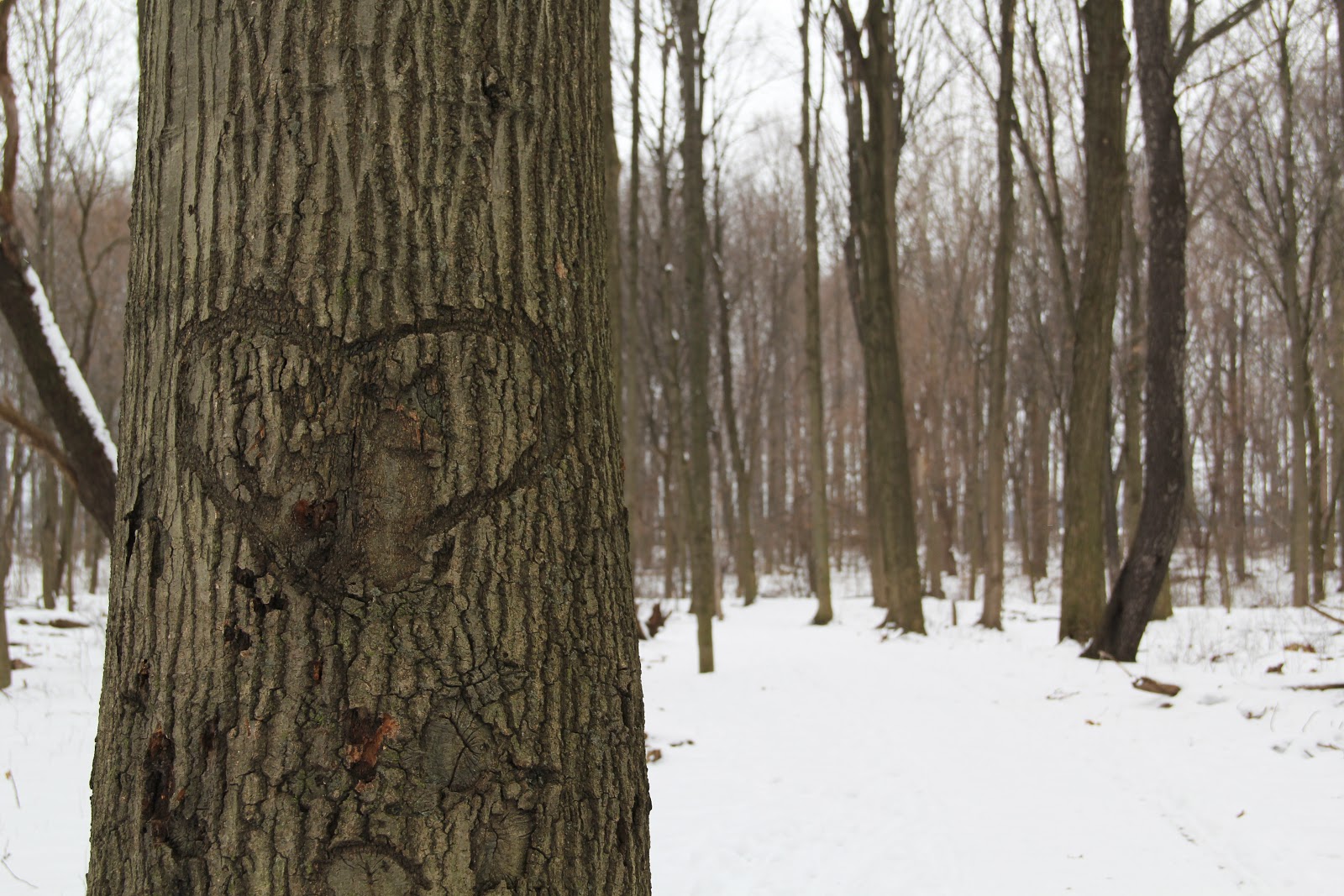 You, me & tea January 2013