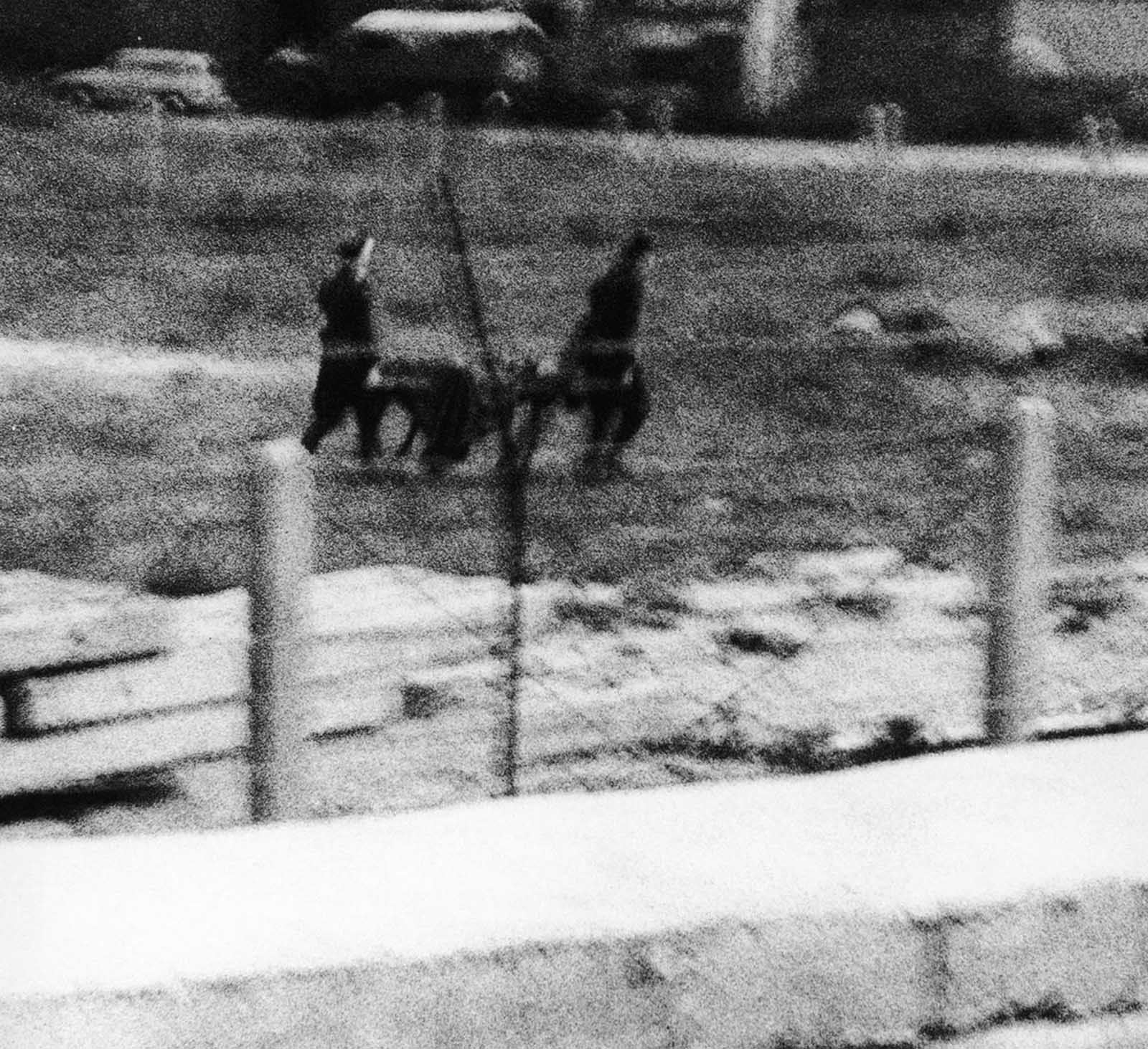 East German border guards carry away a 50 year old refugee, who was shot three times by East German border police on September 4, 1962, as he dashed through communist border installations and tried to climb the Berlin wall in the cemetery of the Sophien Church.